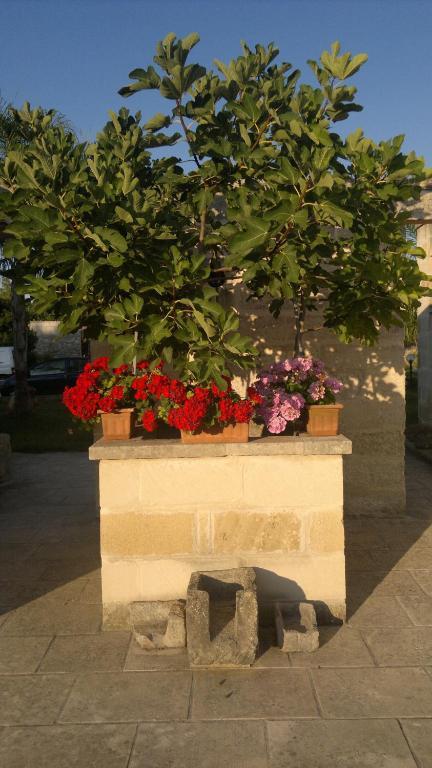 Hotel Masseria Grande 2*