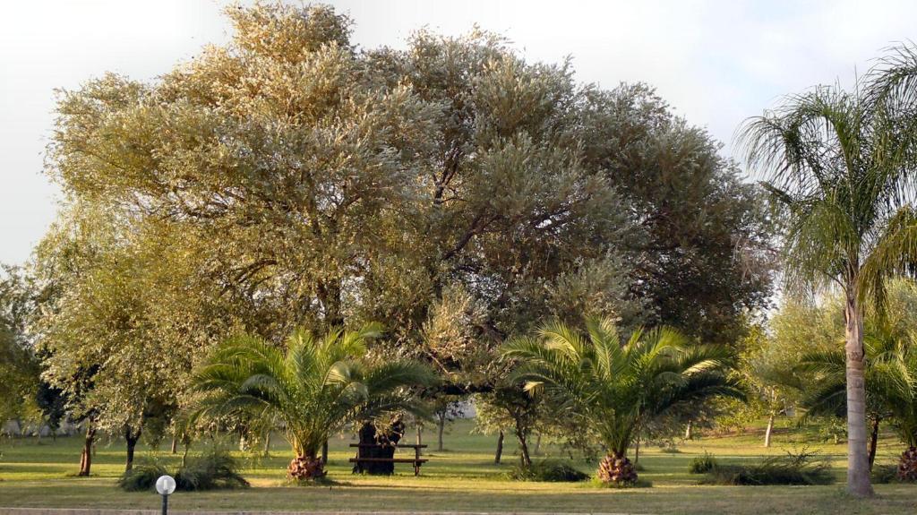 Masseria Grande