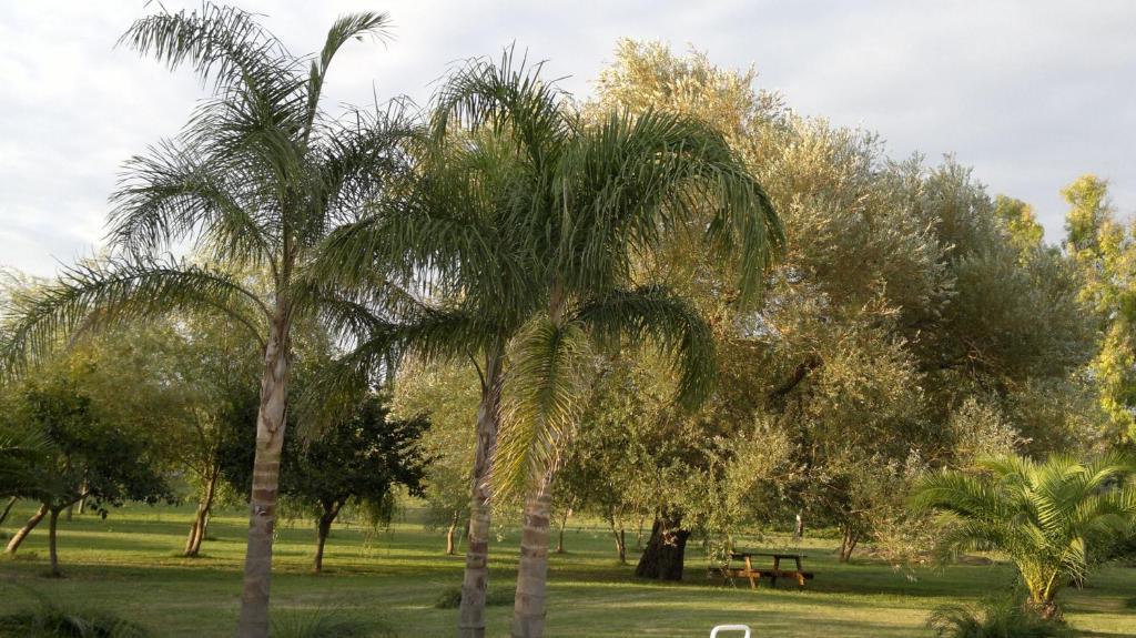 Masseria Grande Hotel